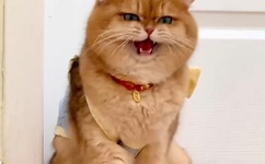 体育学长草了室友学第一次网站